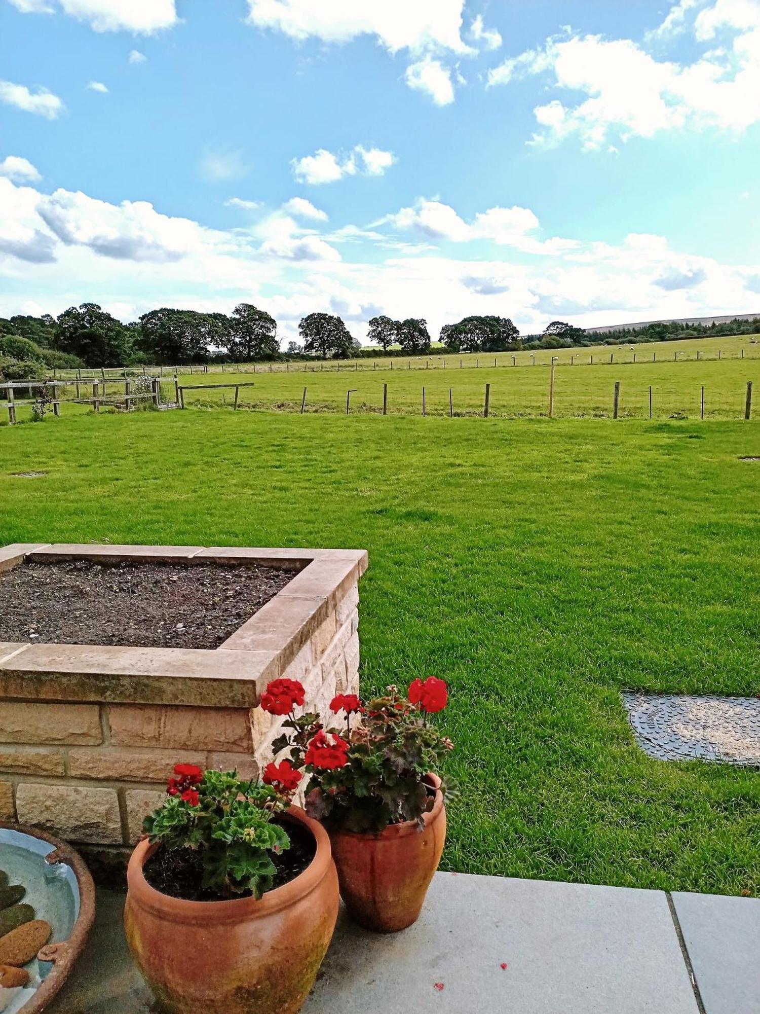 Englefield Guesthouse Goathland Dış mekan fotoğraf